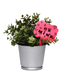 Artesprix Sublimation Garden Stake Blanks 2ct