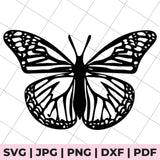 butterfly svg file