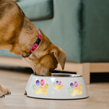 rainbow sublimation dog print on bowl 