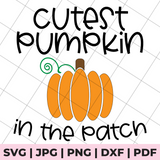 cutest pumpkin in the patch svg file