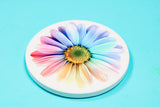 rainbow sublimation flower coaster